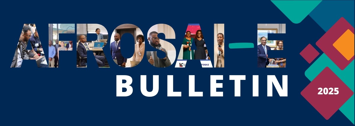 AFROSAI‑E lance son plan stratégique 2025–2029